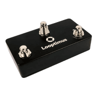 Looptimus Mini