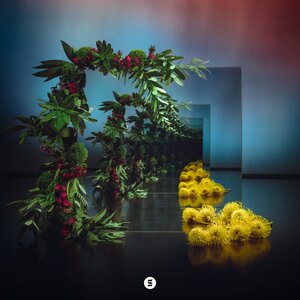 Invited's artwork