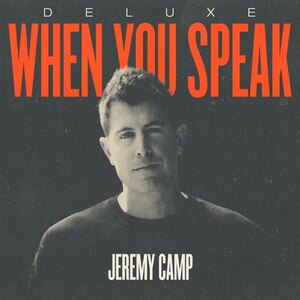 Break Your Promises's artwork