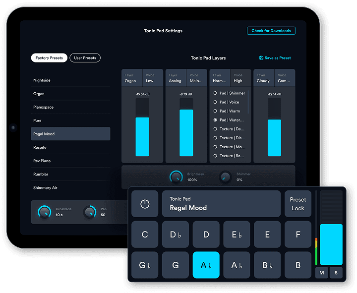 Tonic Pad Player on a Prime App